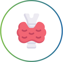 Underactive Thyroid